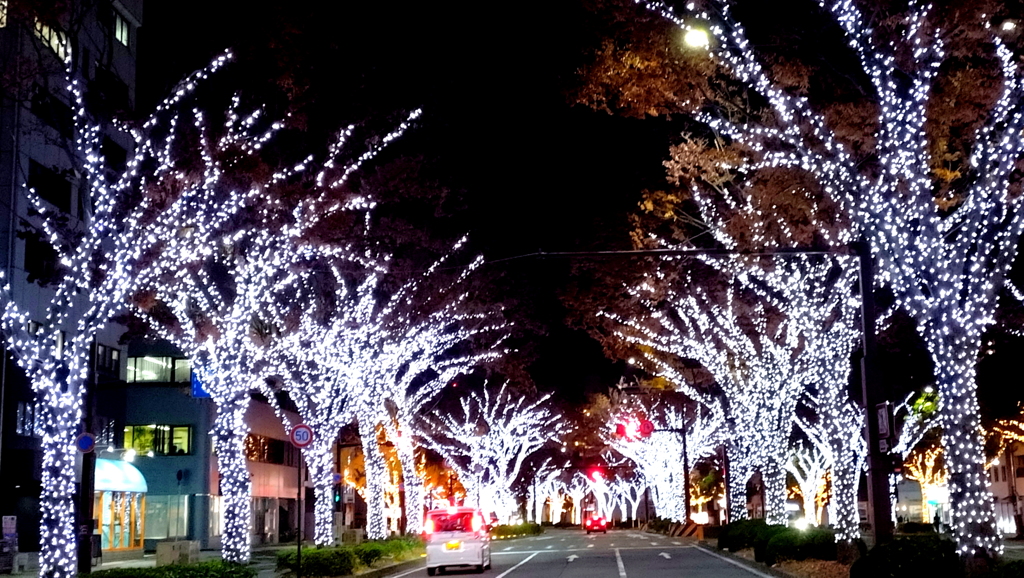 メインストリートのイルミ♪