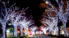 メインストリートのイルミ♪