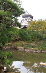 庭園から天守閣を眺める