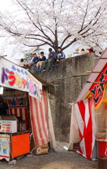 お花見の子供たち②