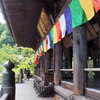 本堂と五重塔