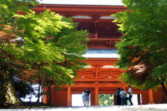 大門②