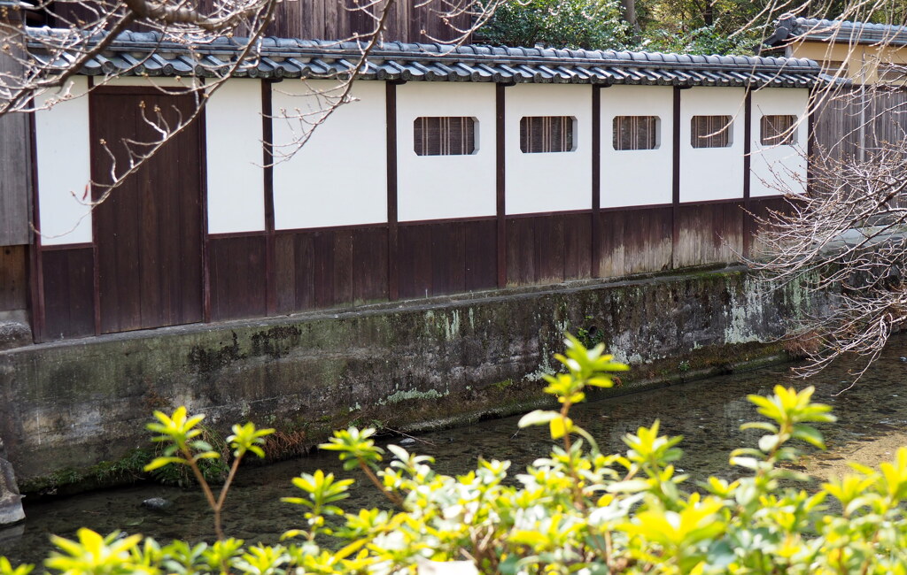 川縁の佇まい
