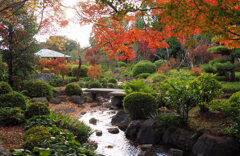 日本庭園の紅葉3