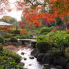 日本庭園の紅葉3