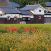 秋の風情②