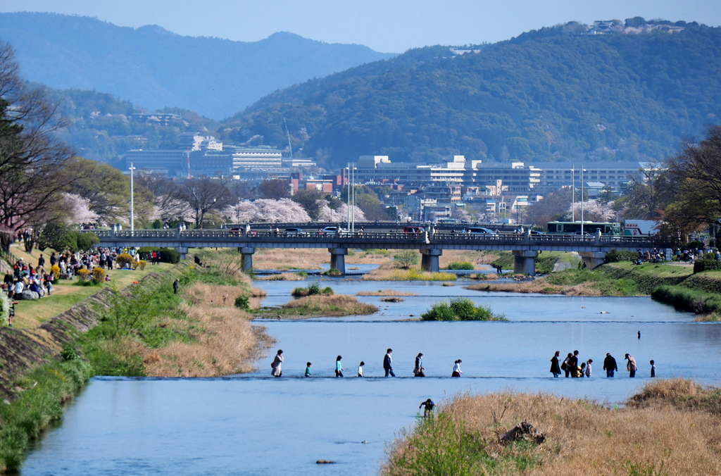 賀茂川３