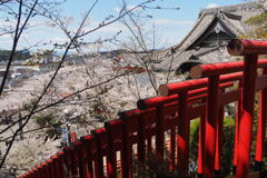 鳥居②