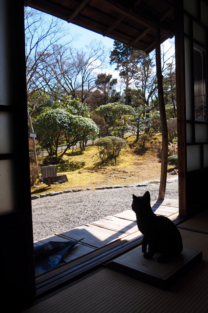 森鷗外・夏目漱石住宅②