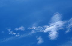 青空に泡立つ雲