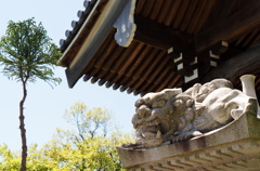 石灯篭の上にも