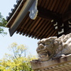 石灯篭の上にも