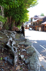 落果①