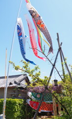 街道沿いの街並み②