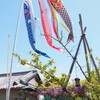 街道沿いの街並み②