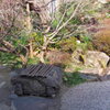 旧家の庭園２
