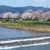 賀茂川１