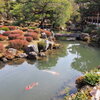 芙蓉池