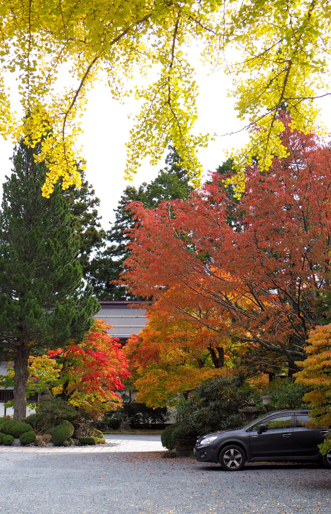 高野山紅葉5