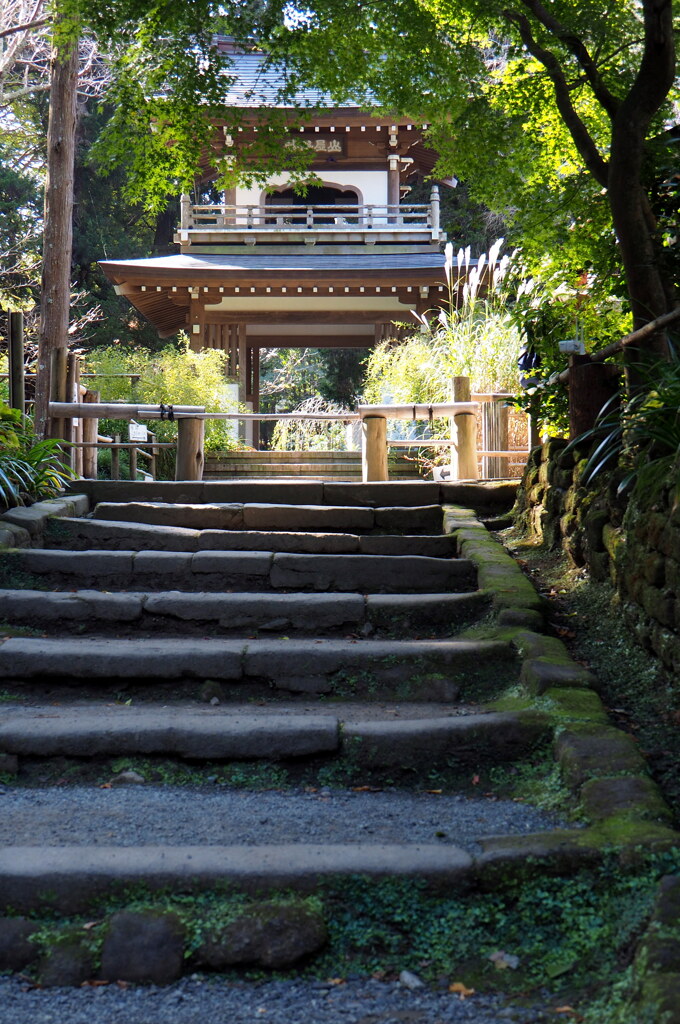 山門とすすき①