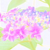 紫陽花art ３