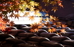 瓦と紅葉