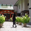 神社の紫陽花①