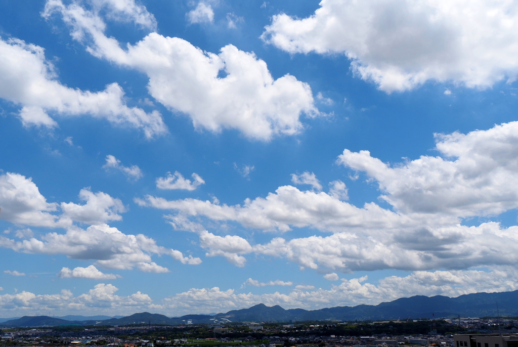 夏空