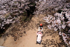 橋の上から