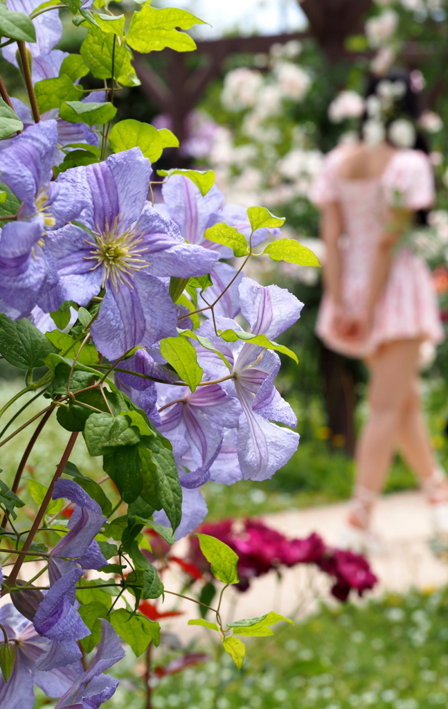 植物園の彼女２