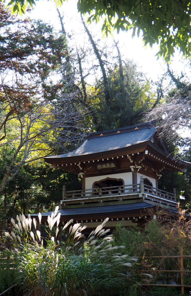 山門とすすき③