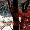 園児と紅葉②