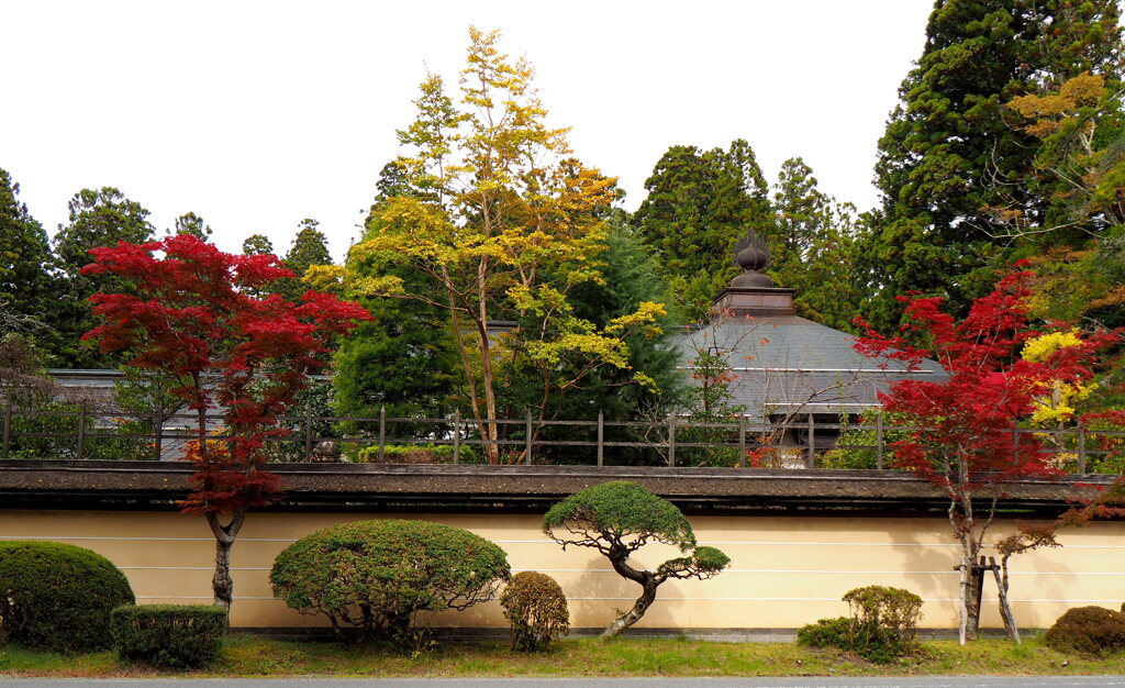 高野山紅葉8