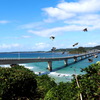 角島大橋③