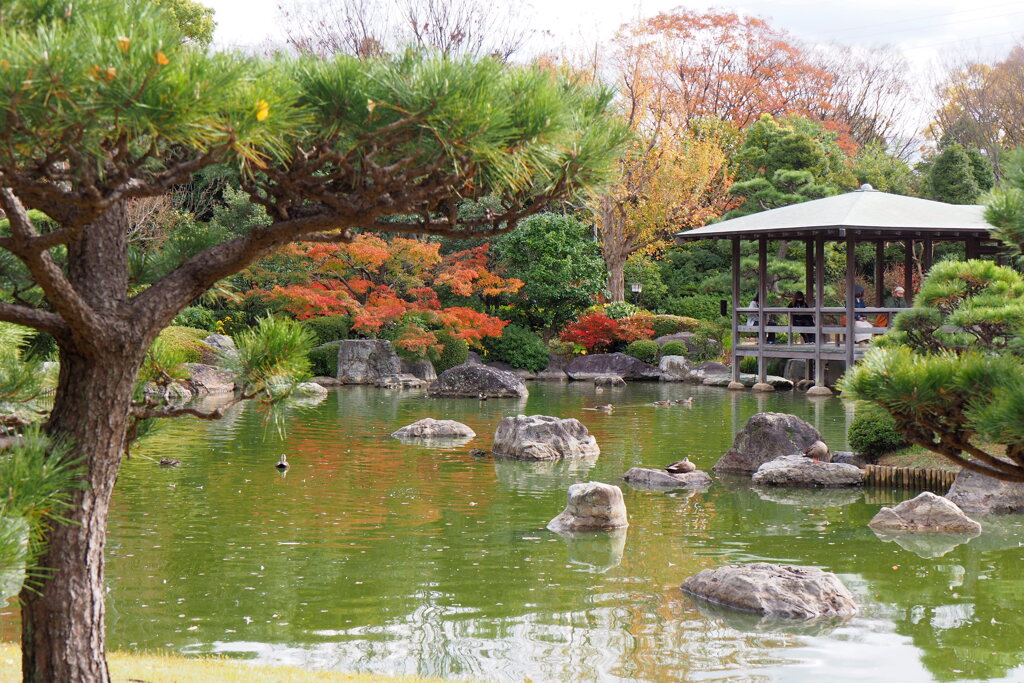 庭園の秋