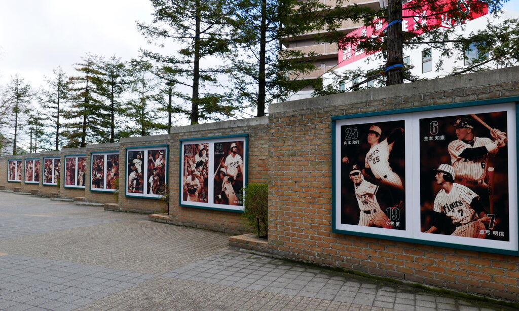 Tigers