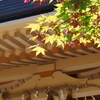 紅いプロペラ