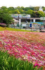 花壇とモノレール
