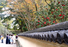 お城に咲く花②
