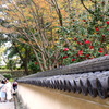 お城に咲く花②
