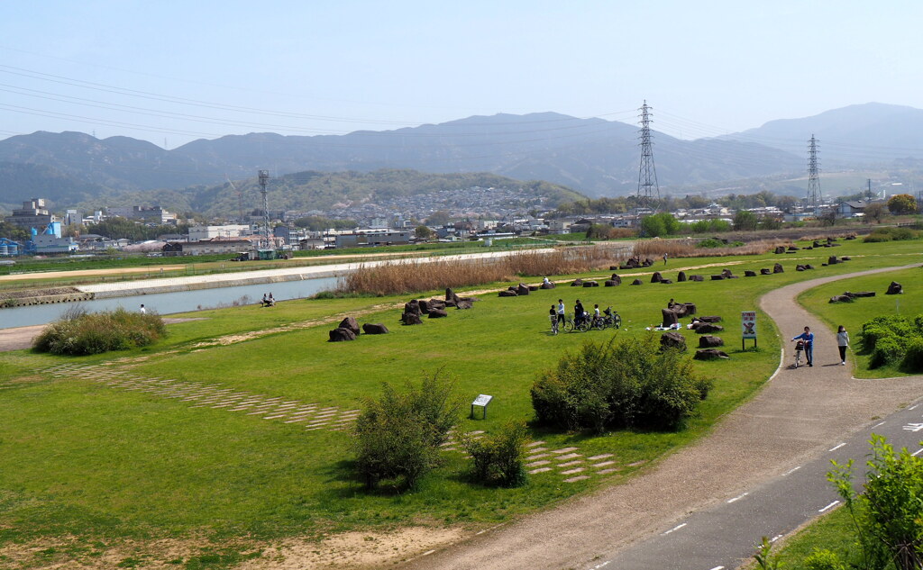 河川敷 の春 2