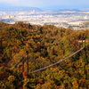 紅葉の中の吊り橋