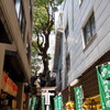 少彦名神社1①