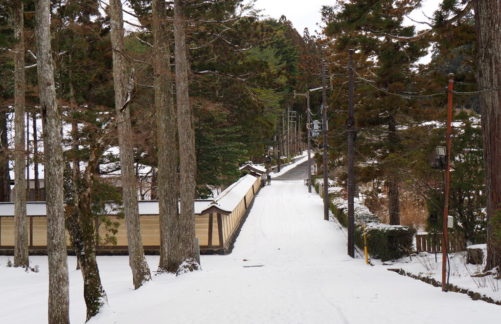 高野山雪景色③