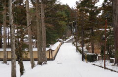 高野山雪景色③