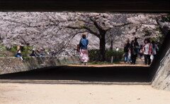 橋の下から