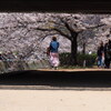橋の下から