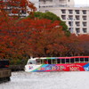 ダックツアー