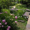 菖蒲園１