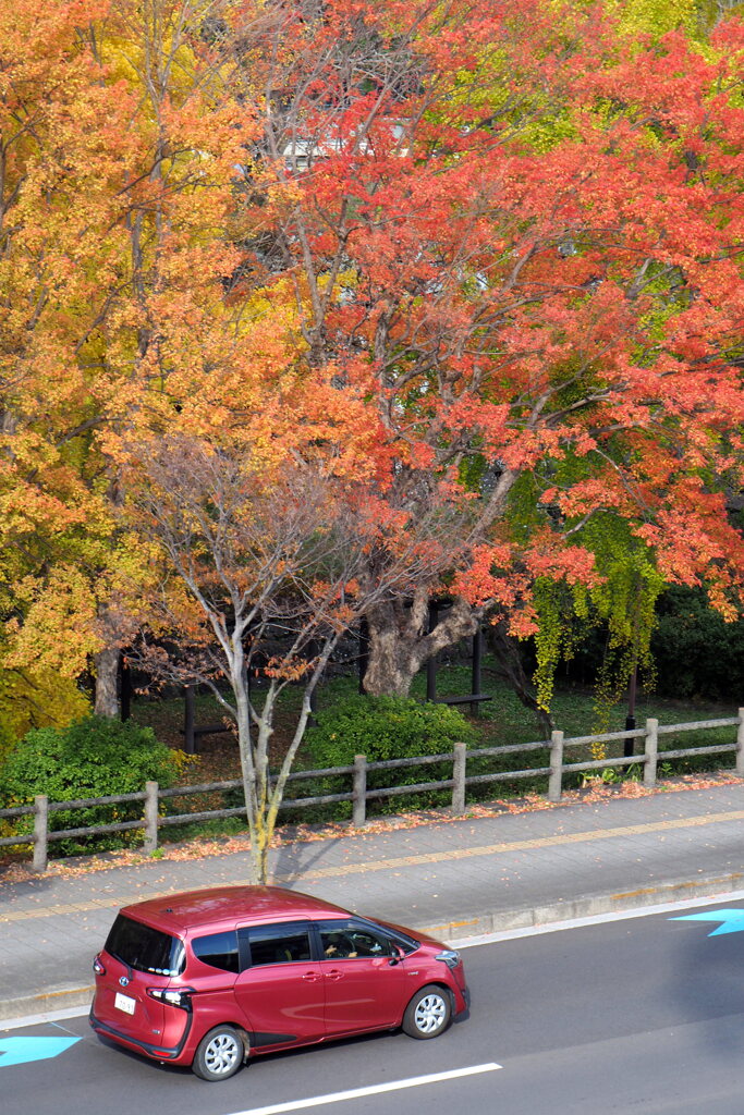 紅葉と赤い車